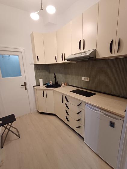Universitate,Cismigiu,Sala Palatului,impecabila,renovata,bloc consolidat - 7