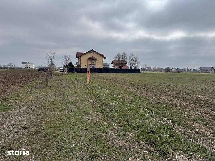 Vanzare 2 parcele de teren in Saftica cu suprafa?a de 1500 mp / 45 - 3