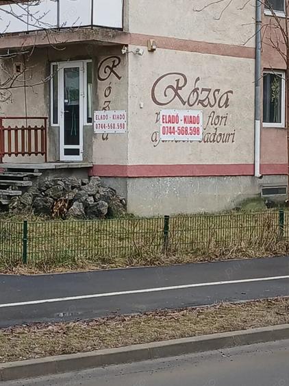 Spațiu comercial, de 38 mp, în Exterior Vest