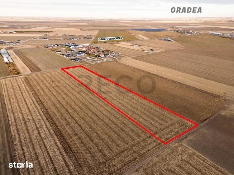 Teren de 17265 mp, în Nojorid