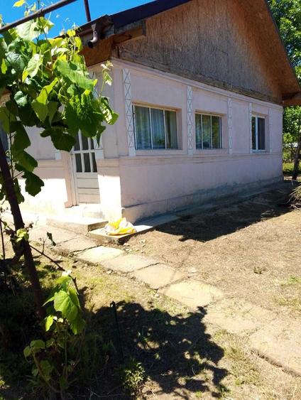 Casă cu 3 camere în Făcăeni