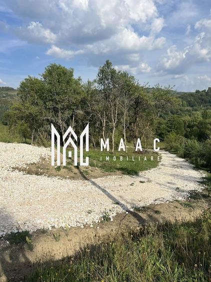 Teren Construcții intravilan de 14242 mp, în Sohodol
