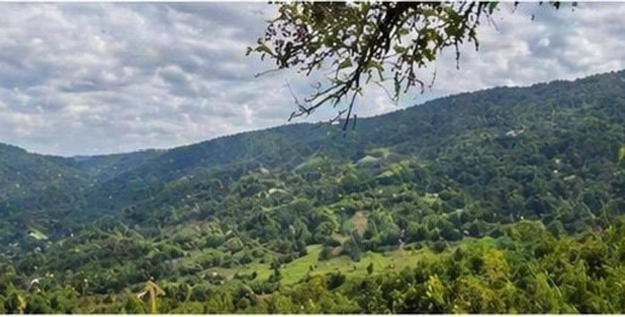 Casă individuală cu 4 camere cu Teren 100000 Mp în Mătăcina