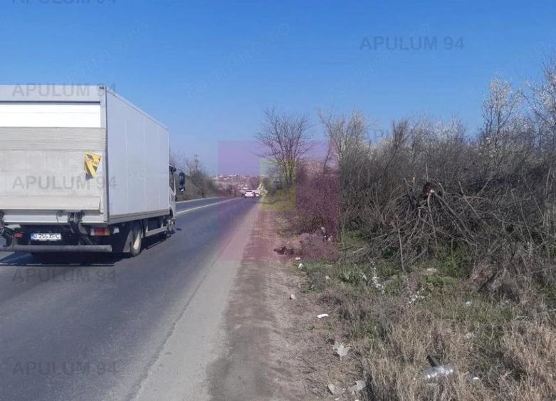 Teren de 4800 mp, în Glina