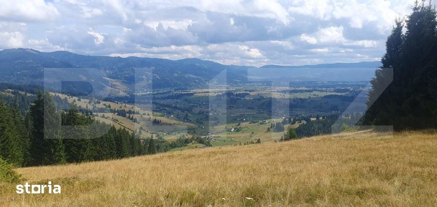 Teren extravilan de vanazre, 42.152 mp, zona Saru Dornei - 5