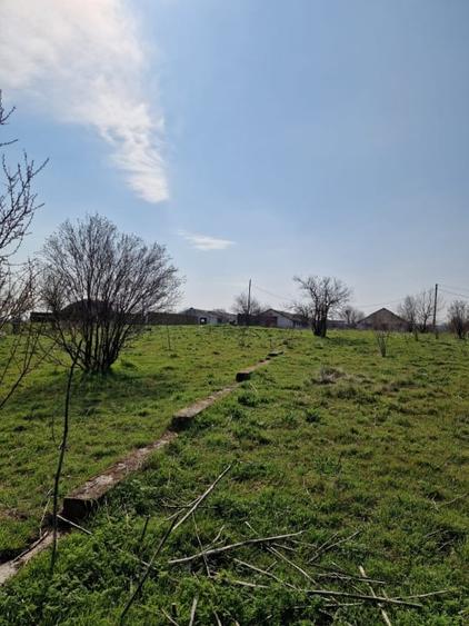 Teren agricol extravilan de 79106 mp, în Exterior Est