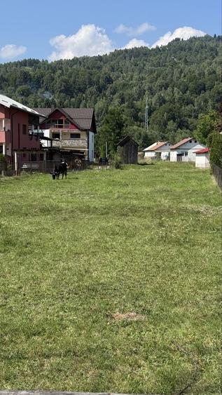 Teren de 2463 mp, în Băile Borșa