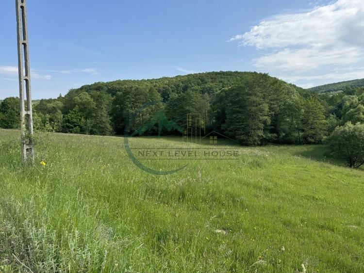 Teren Construcții extravilan de 2900.0100097656 mp, în Lisnău-Vale