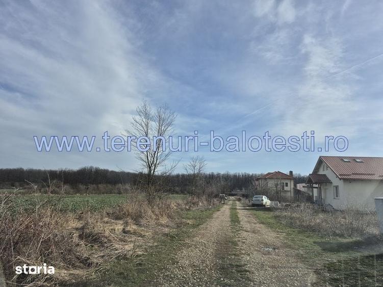 Teren de 540 mp, în Stănișești