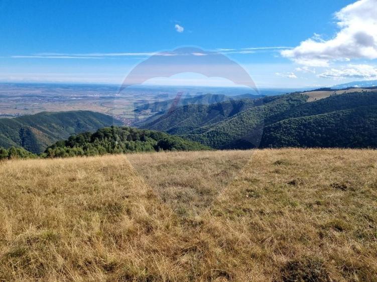 Teren agricol extravilan de 5609 mp, în Gura Râului