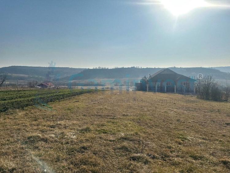 Teren Construcții intravilan de 4845 mp, în Hidișelu de Sus
