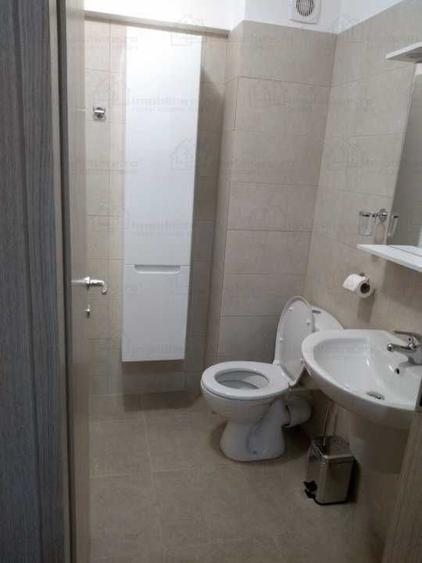 Apartament cu 2 camere semidecomandat în Lizeanu