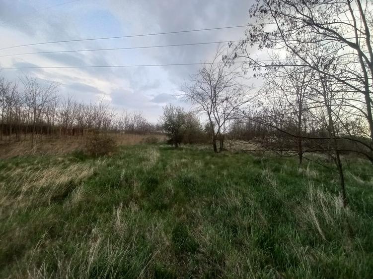 Teren agricol intravilan de 10568 mp, în Snagov