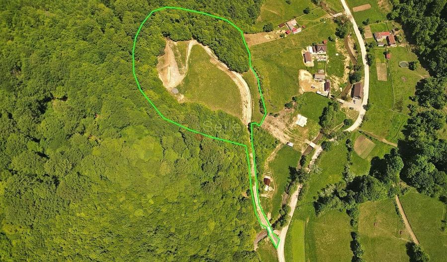 Teren Construcții extravilan de 16000 mp, în Poiana Mărului