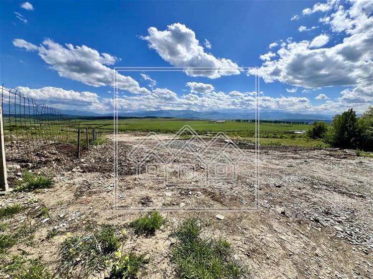 Teren agricol extravilan de 3100 mp, în Daia