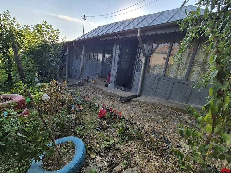 Casă cu Teren 5000 Mp în Pleșești (Podgoria)