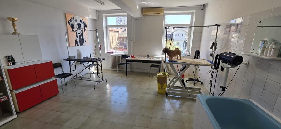 Casă individuală cu 30 camere cu Canalizare în Drumul Sării