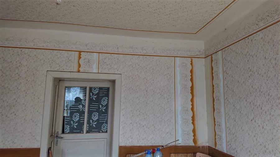 Teren Construcții intravilan de 69237 mp, în Crișcior