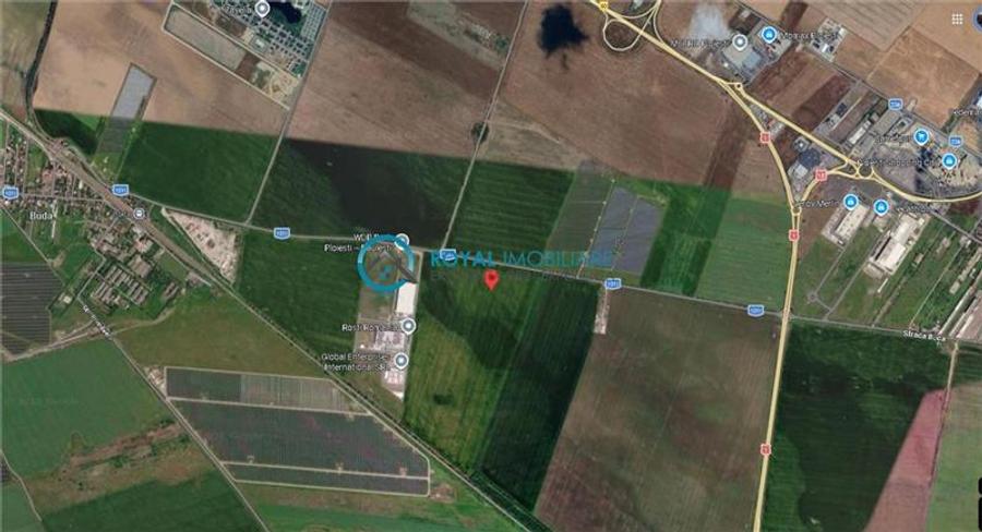 Teren extravilan de 37500 mp, în Păulești