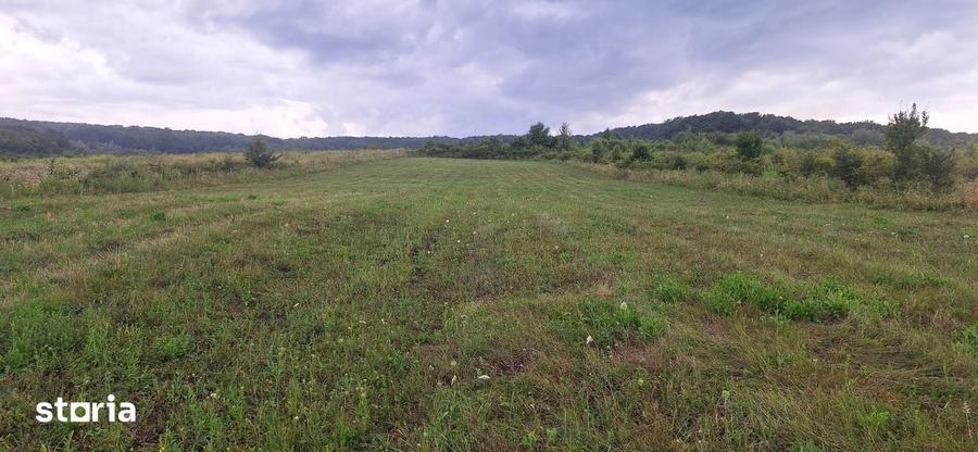 Teren de 1500 mp, în Corunca