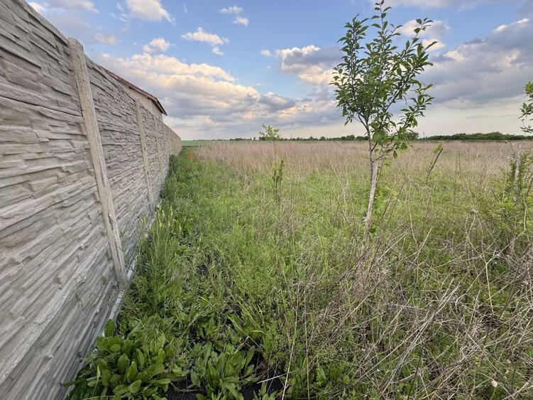 Teren Construcții intravilan de 766 mp, în Becicherecu Mic