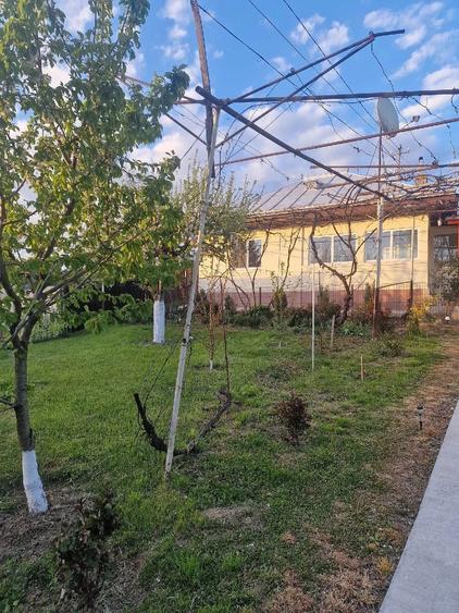 Casă cu 3 camere cu Teren 1352 Mp în Horia