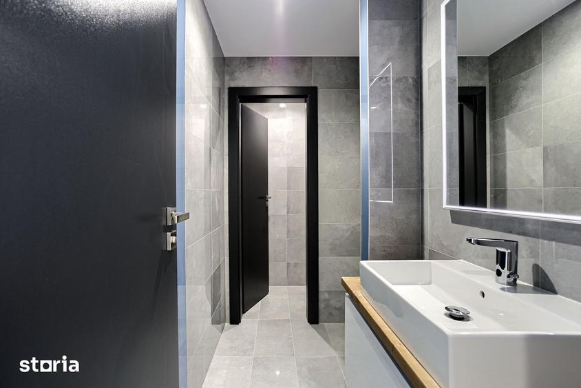 Birouri premium de inchiriat Arad - 12