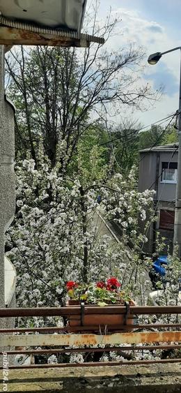 Direct proprietar de vanzare imobil str.Hasdeu Iorga - 2