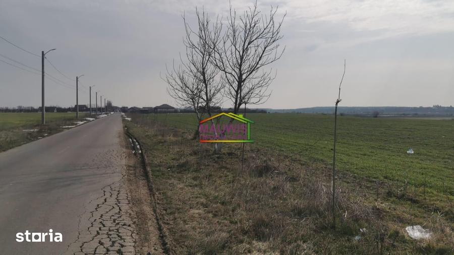 Teren de 7240 mp, în Cernica