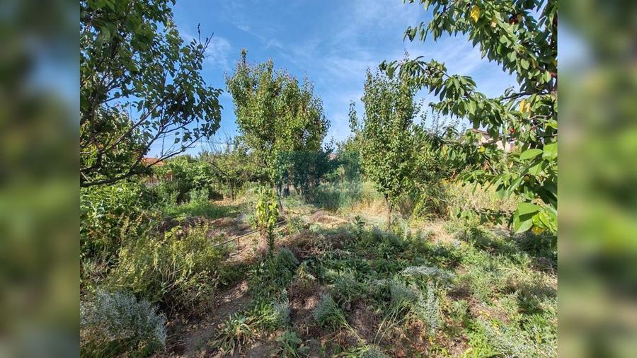 Casă individuală cu 3 camere cu Teren 1203 Mp în Mărăști