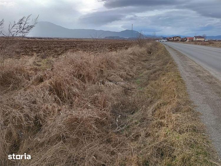 Teren de 9000 mp, în Est