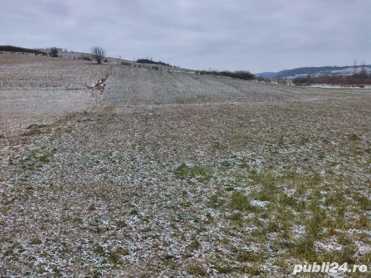 Teren de 5450 mp, în Vânători