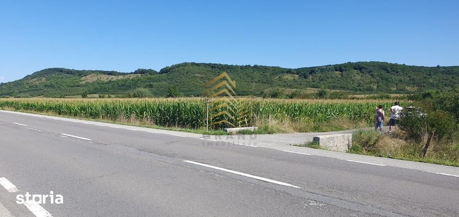 Teren de 5800 mp, în Șieu