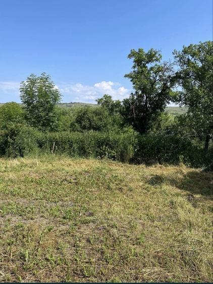 Casă cu 3 camere în Feiurdeni