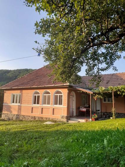 Casă cu 3 camere în Delenii