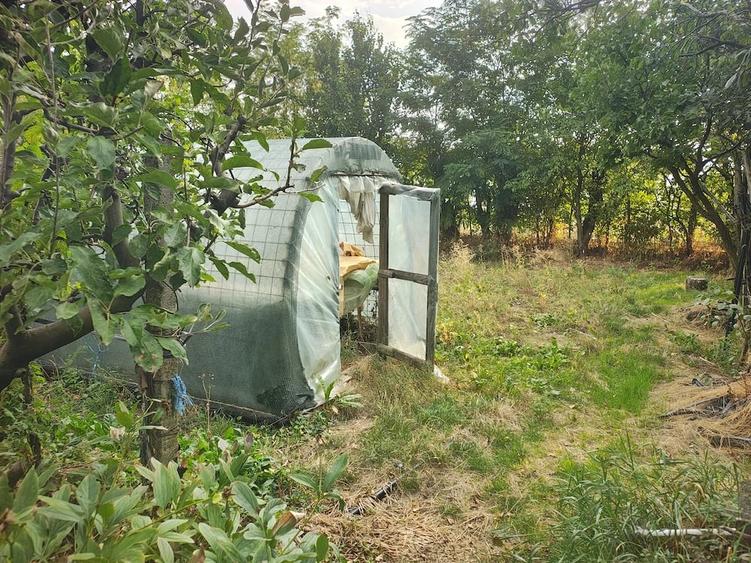 Casă cu 3 camere cu Teren 2600 Mp în Coasta Lupei