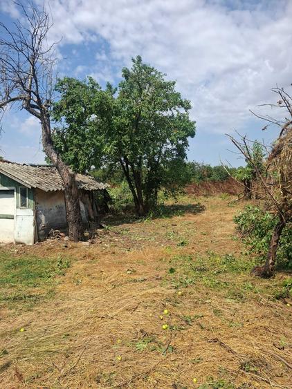Casă cu 3 camere în Miloșești