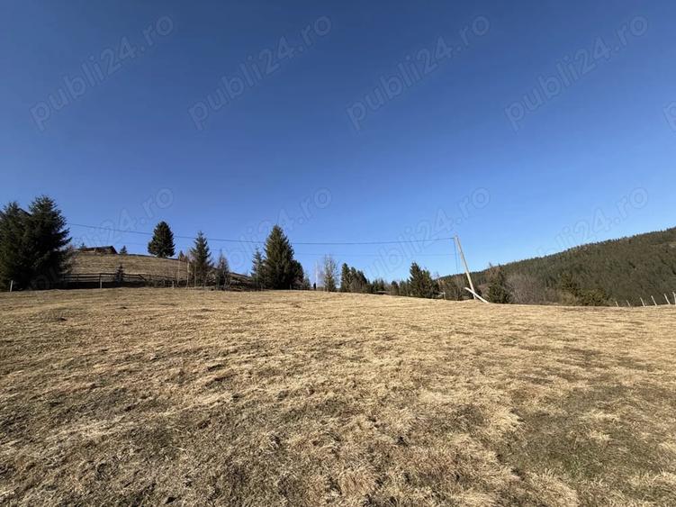 Teren de 12500 mp, în Galbena