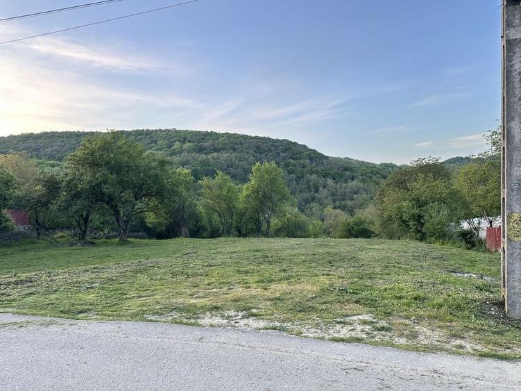 Teren de 1200 mp, în Căzănești