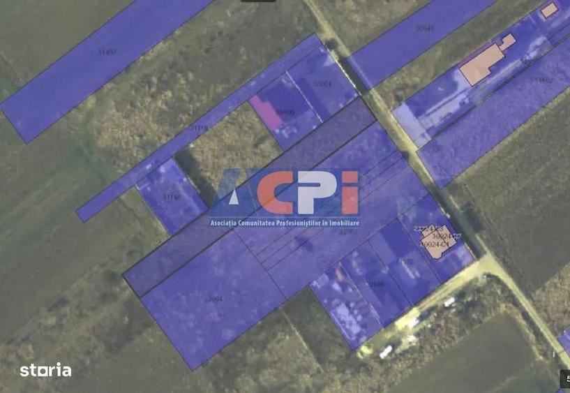 Teren intravilan de vanzare Cosoba,Giurgiu,40 min Bucuresti - 3