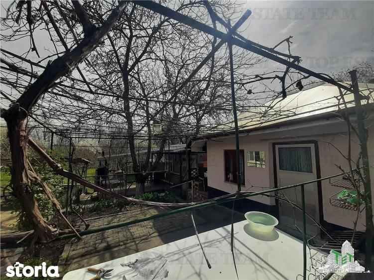 Teren 1274 mp cu livada si casa veche Primarie Bragadiru - 20