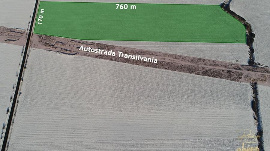 Teren Construcții intravilan de 127351 mp, în Biharia