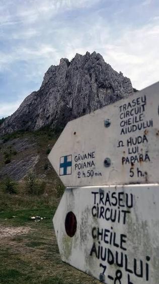 Casă cu 2 camere cu Teren 150 Mp în Vălișoara