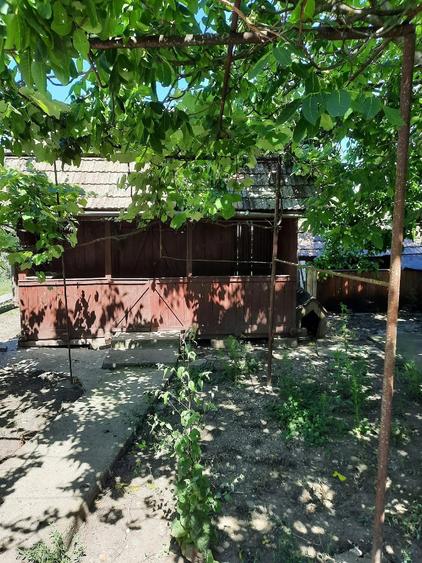 Casă cu Teren 15 Mp în Central