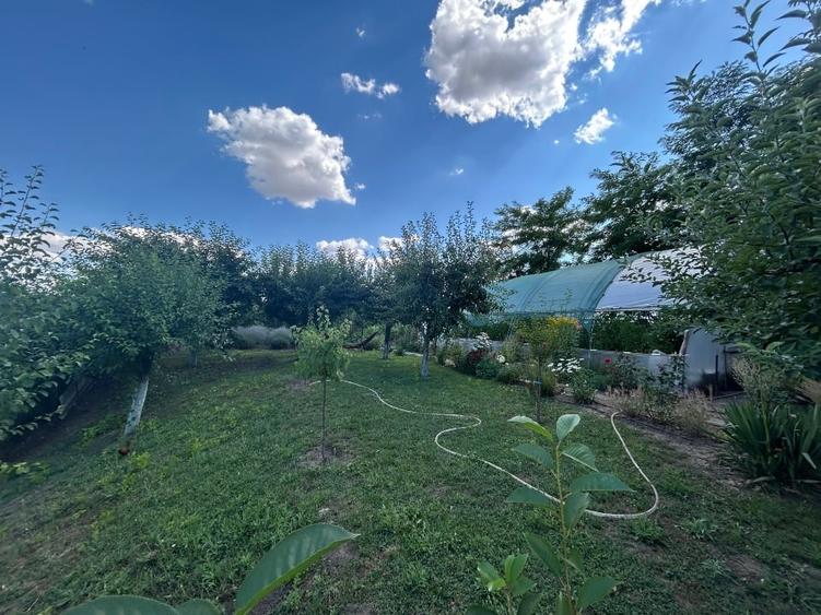 Casă individuală cu 3 camere cu Teren 1064 Mp în Cobadin