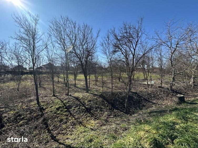 Teren de 960 mp, în Păulești