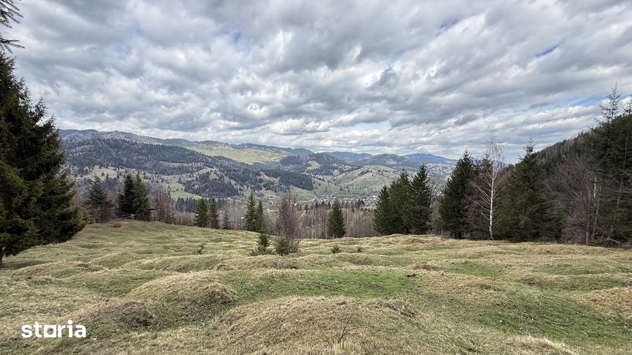 Teren de 10270 mp, în Sadova