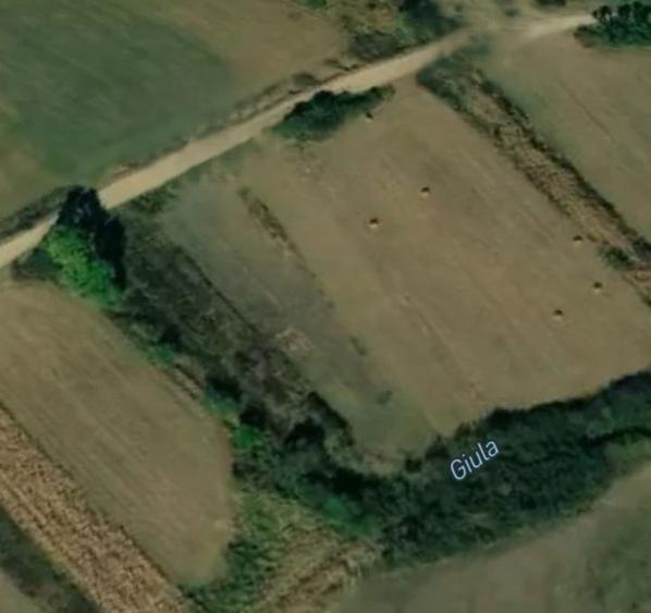 Teren agricol extravilan de 1300 mp, în Giula
