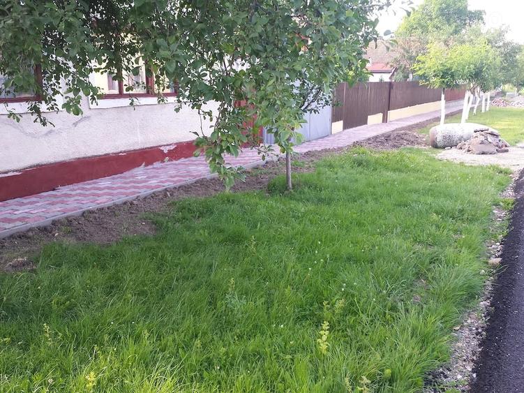 Teren de 1449 mp, în Covaci