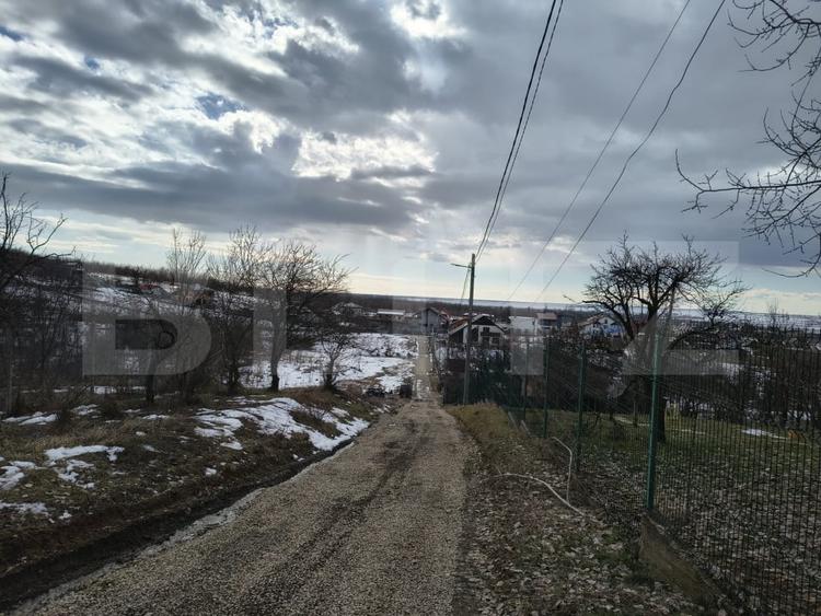 Teren Construcții intravilan de 10000 mp, în Păulești